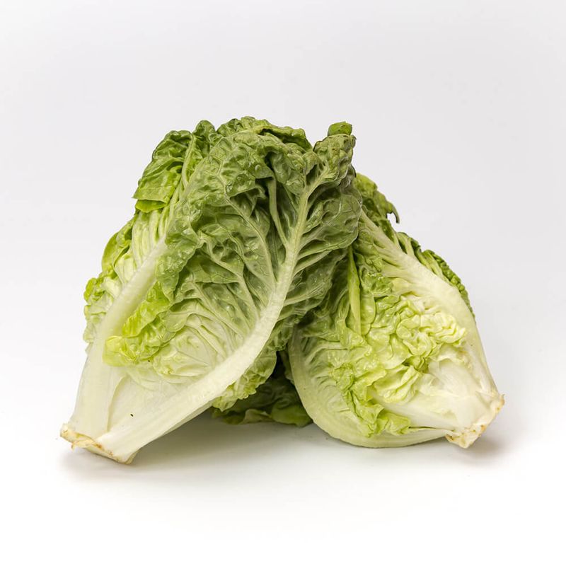 Lechuga-Criolla-Kg-1-5907