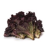 Lechuga Morada 500 gr.