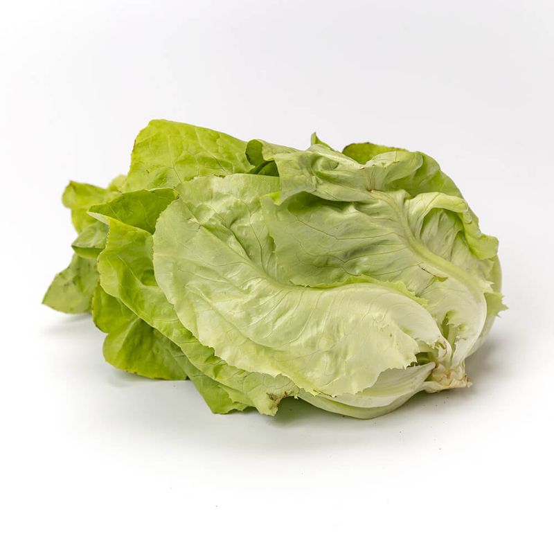 Lechuga-Mantecosa-Kg-1-6215
