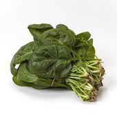 Espinaca 1U