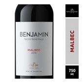 Vino Malbec Benjamin 750 cc