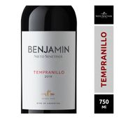 Vino Tempranillo Benjamin 750 cc