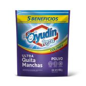Quitamanchas Polvo Ropa Color Ayudin 450 gr
