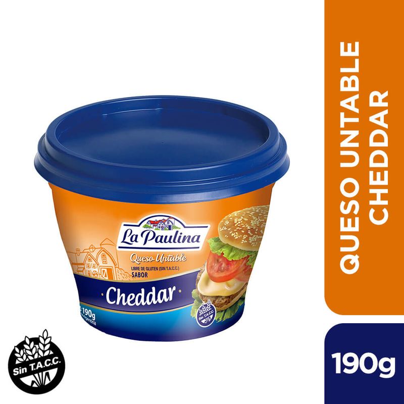 Queso-Untable-Cheddar-La-Paulina-190-gr-1-6580