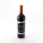 Vino-Cabernet-Sauvignon-Navarro-Correas-750-cc-1-4890