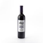Vino-Cabernet-Sauvignon-Norton-1895-750-cc-1-4899
