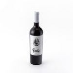 Vino-Cabernet-Sauvignon-Bravio-750-cc-1-5202