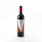 Vino-Blend-Expresive-Cafayate-Rutas-750-cc-1-4185