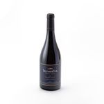 Vino-Malbec-Syrah-Trumpeter-750-cc-1-4204