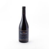 Vino Malbec Syrah Trumpeter 750 cc