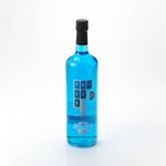 Vino-Evolution-Blue-Frizze-1-lt-1-4952