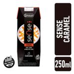 Leche-con-Cafe-Sabor-Caramelo-La-Serenisima-250-cc-1-9137