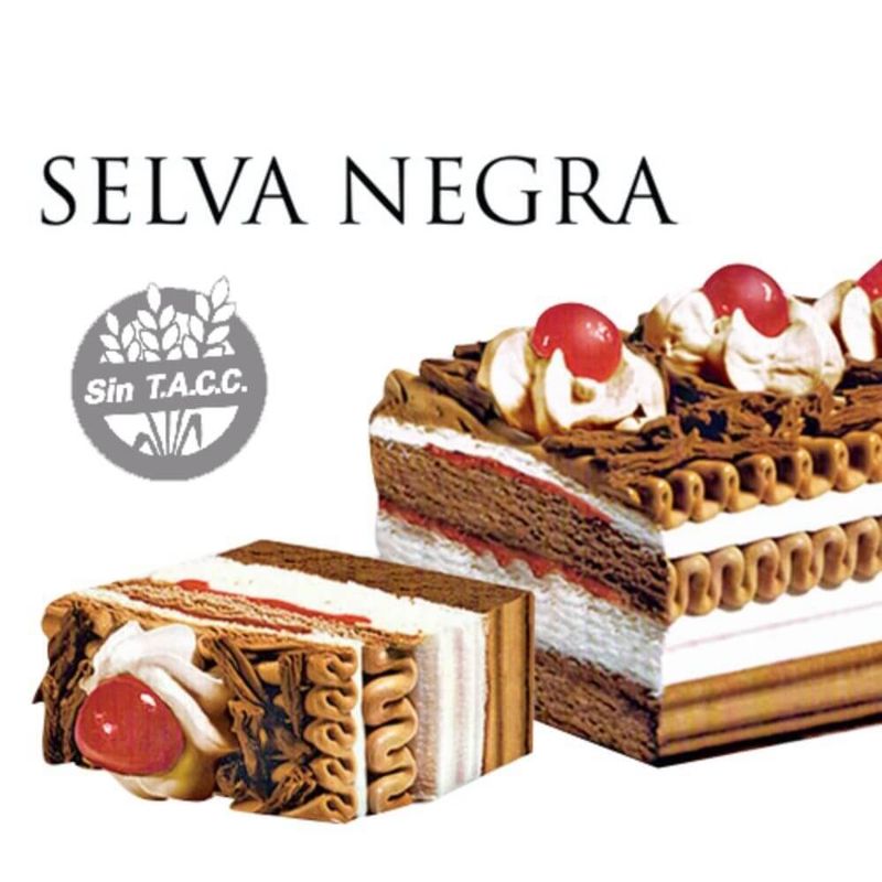 Helado-Postre-Selva-Negra-Ice-Cream-1-lt-1-6939