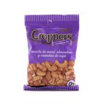 Mani-Mix-Casta-as-de-Caju-Almendras-Croppers-100-gr-1-411