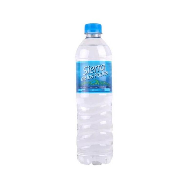Agua-sin-Gas-Natural-Sierra-de-Los-Padres-600-cc-1-4333