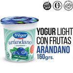 Yogur-Descremado-con-Arandanos-Tregar-160-gr-1-6700
