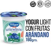 Yogur Descremado con Arandanos Fortificado Tregar 160 gr