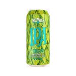 Cerveza-Ipa-Antares-473-cc-1-5813