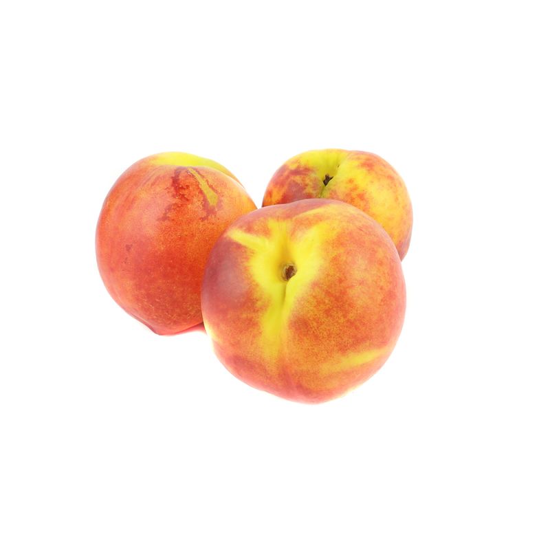 000000000000004461-01