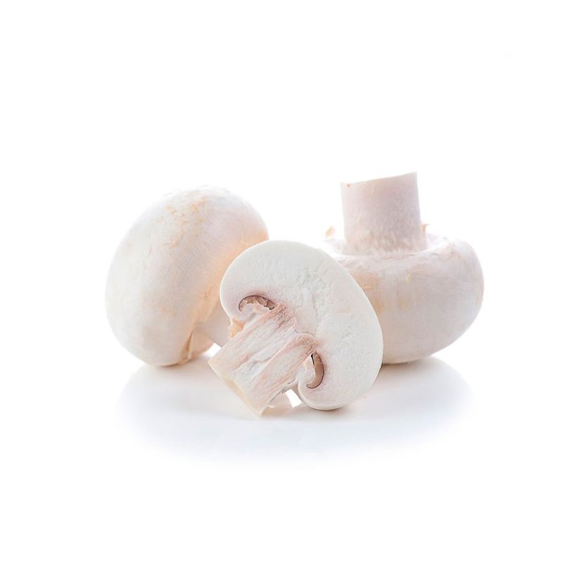 Champignon-Paris-Bandeja-1U-1-6284