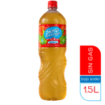 Agua-Saborizada-sin-Gas-Manzana-Roja-Sierra-de-Los-Padres-1-5-lt-1-4382