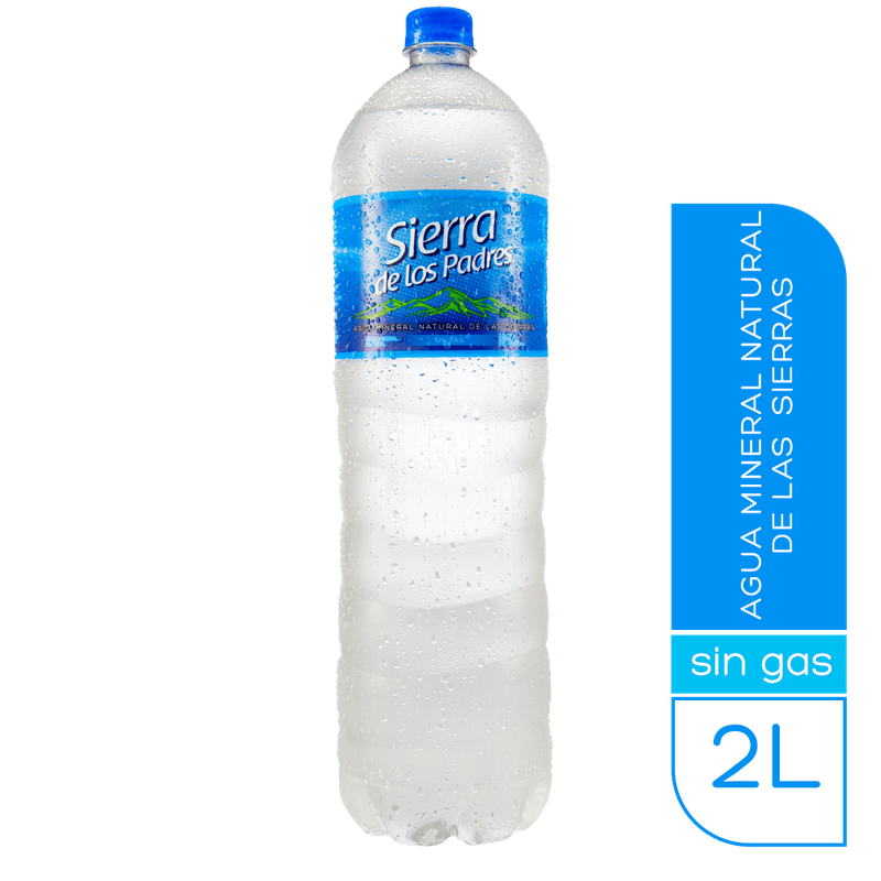 Agua-sin-Gas-Natural-Sierra-de-Los-Padres-2-lt-1-4352