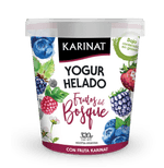 Yogur-Helado-de-Frutos-del-Bosque-Karinat-320-gr-1-11149