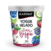 Yogur Helado de Frutos del Bosque Karinat 320 gr