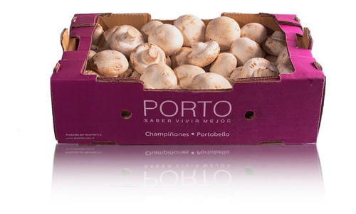 Champignon-Portobello-Porto-kg-1-11195