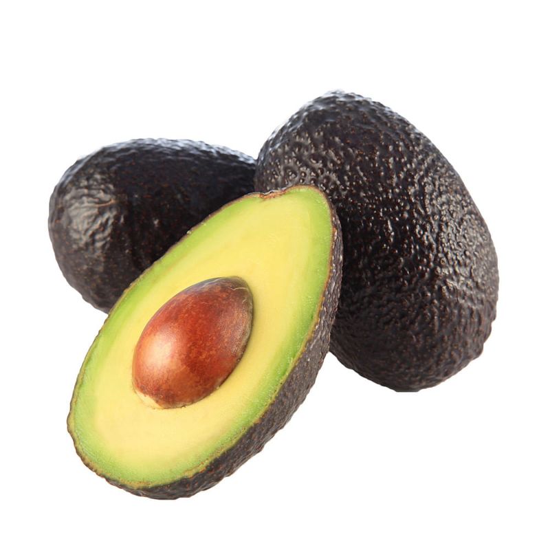 Palta-Hass-1U-1-11321