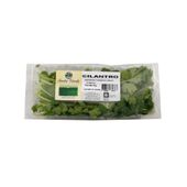 Bandeja de Cilantro Sueño Verde 35 gr
