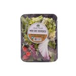 Ensalada-Mix-de-Verdes-Sue-o-Verde-300-gr-1-9097