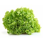 Lechuga-Francesa-1-5939