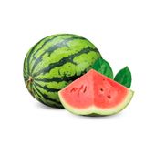Sandia Baby 1.5 kg