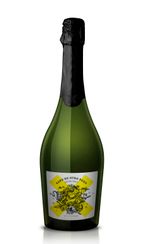 Vino-Espumante-Extra-Brut-Sapo-de-Otro-Pozo-750-cc-1-12477