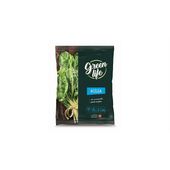 Acelga Congelada Green Life 550 gr