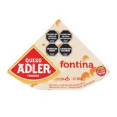 Queso Fundido Fontina Adler 100 gr