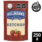 Ketchup-Hellamns-Doy-Pack-250-gr-1-3857