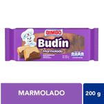 Budin-Tipo-Casero-Marmolado-Bimbo-250-gr-1-13965