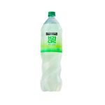 000000000000038685-01