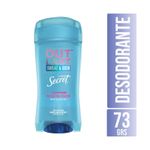 Desodorante-Gel-Powder-Protect-Secret-73-gr-1-13597