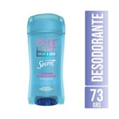Desodorante Gel Powder Protect Secret 73 gr
