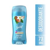 Desodorante Barra Fresh Cocoa Secret 73 gr