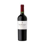 Vino-Gran-Reserva-Malbec-Fabre-Montmayou-750-cc-1-12141