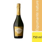 Espumante-Nature-Saint-Felicien-750-cc-1-14083