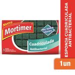 Esponja-Antibacterial-Mortimer-1U-1-11320
